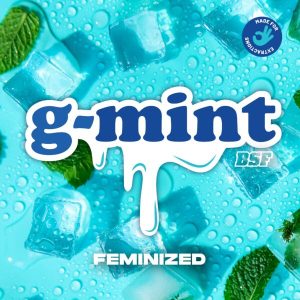 G-Mint